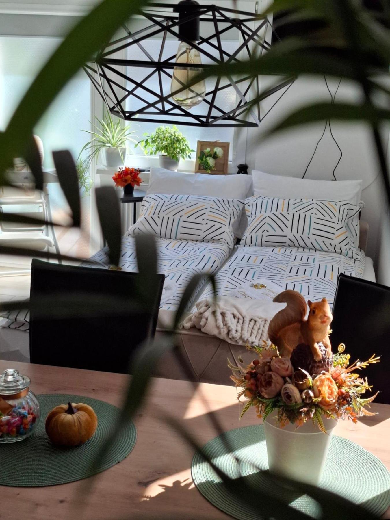 Josephine Apartment 수보티차 외부 사진